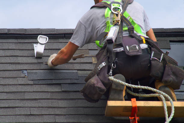 Best Storm Damage Roof Repair  in Frankfort, IL